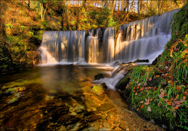 Обои картинки фото природа, водопады, водопад, уступ, река, лес, осень