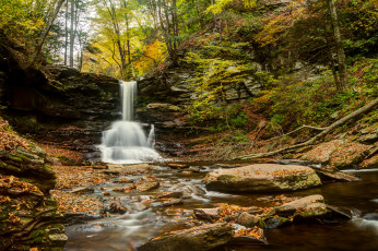 Картинка sheldon reynolds falls ricketts glen state park pennsylvania природа водопады камни осень лес река пенсильвания