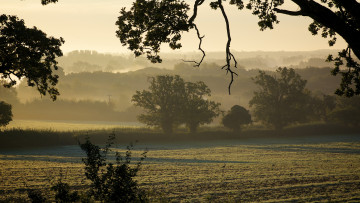 Картинка природа поля силуэты утро туман деревья