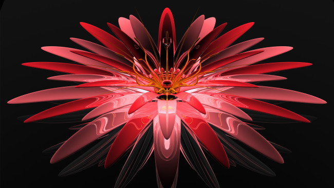 Обои картинки фото 3д графика, цветы , flowers, цвета, узор, фон