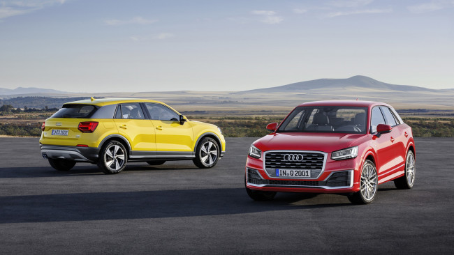 Обои картинки фото audi q2 2017, автомобили, audi, 2017, q2