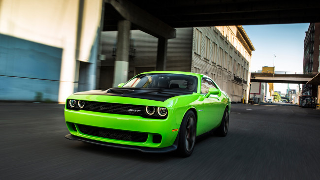 Обои картинки фото dodge challenger srt supercharged hemi hellcat 2015, автомобили, dodge, challenger, srt, supercharged, hemi, hellcat, 2015