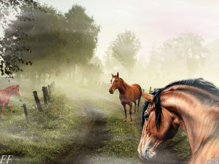 обоя kat777999@mail, ru, рисованные, животные, лошади