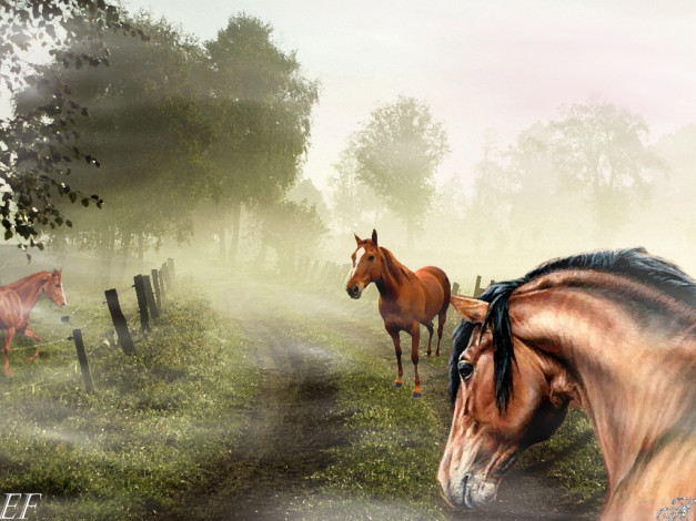 Обои картинки фото kat777999@mail, ru, рисованные, животные, лошади