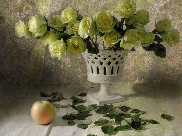 Обои картинки фото ли, ши, розы, цветы