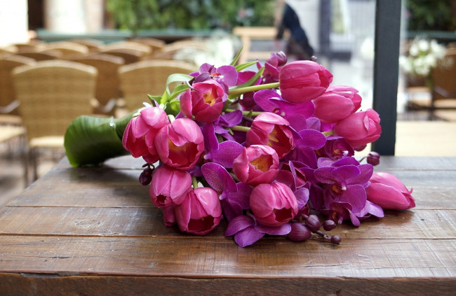 Обои картинки фото цветы, букеты, композиции, тюльпаны, орхидеи