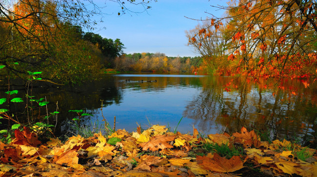 Обои картинки фото природа, реки, озера, осень, листья, отражение