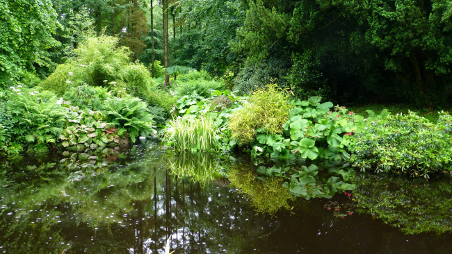 Обои картинки фото ireland, benvarden, garden, природа, парк, водоем, сад