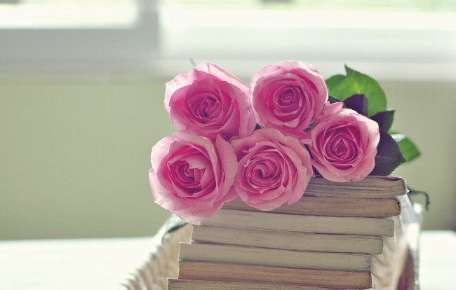 Обои картинки фото цветы, розы, розовый, букет, книги