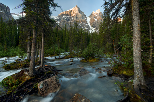 Обои картинки фото banff, national, park, canada, природа, реки, озера, канада, река, лес, деревья, горы
