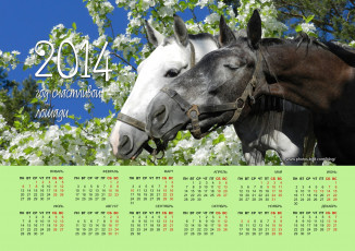 Картинка календари животные чувства