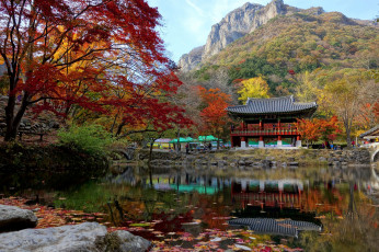 Картинка города -+буддистские+и+другие+храмы краски пагода пруд парк осень