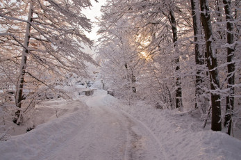 Картинка природа зима деревья пейзаж мост дорога