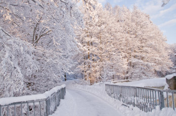 Картинка природа зима мост снег деревья
