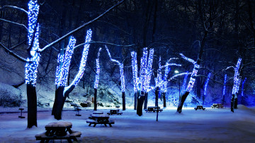 Картинка праздничные новогодние+пейзажи деревья аллея зима парк гирлянды иллюминация столики