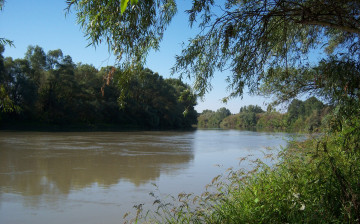 Картинка природа реки озера река деревья небо