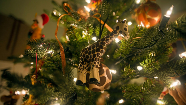 Обои картинки фото праздничные, Ёлки, жираф, огни, гирлянда, украшения, ёлка