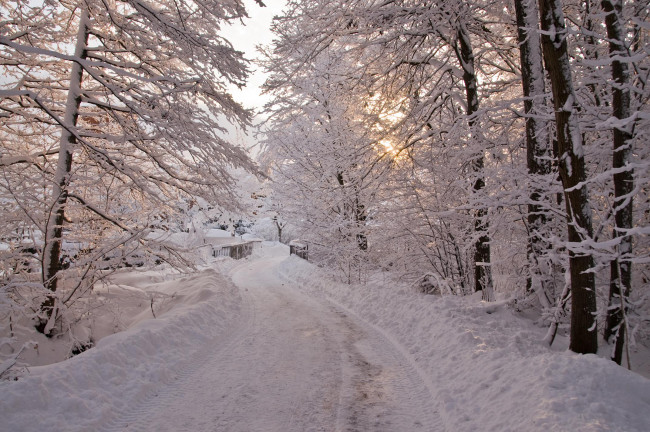 Обои картинки фото природа, зима, деревья, пейзаж, мост, дорога