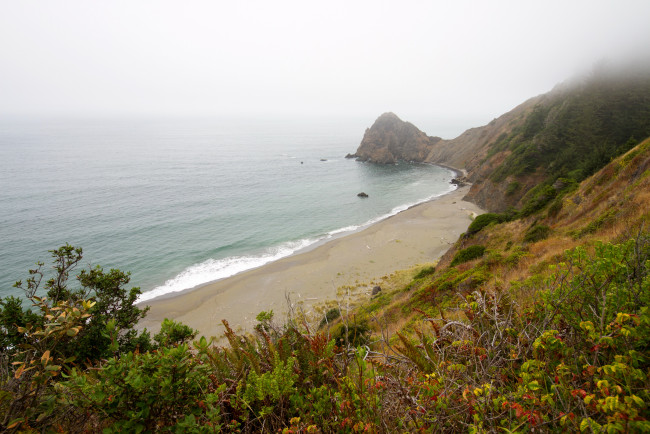 Обои картинки фото природа, побережье, океан, сша