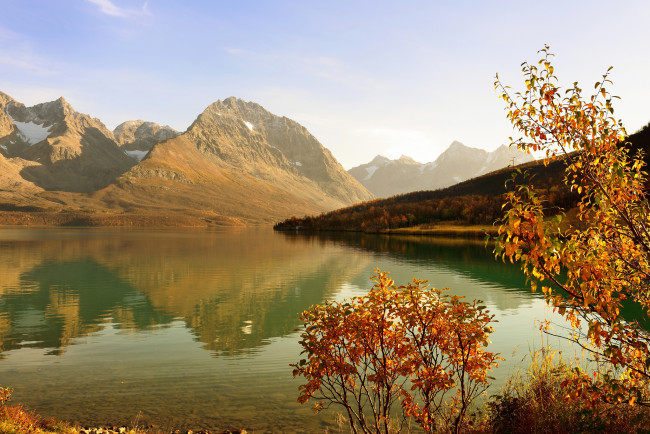 Обои картинки фото природа, реки, озера, озеро, осень, лес, дерево, кустарник, горы
