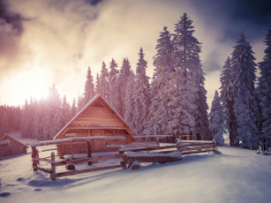 Картинка природа зима ели домик снег