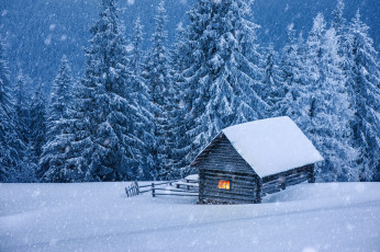 Картинка природа зима снег ели домик