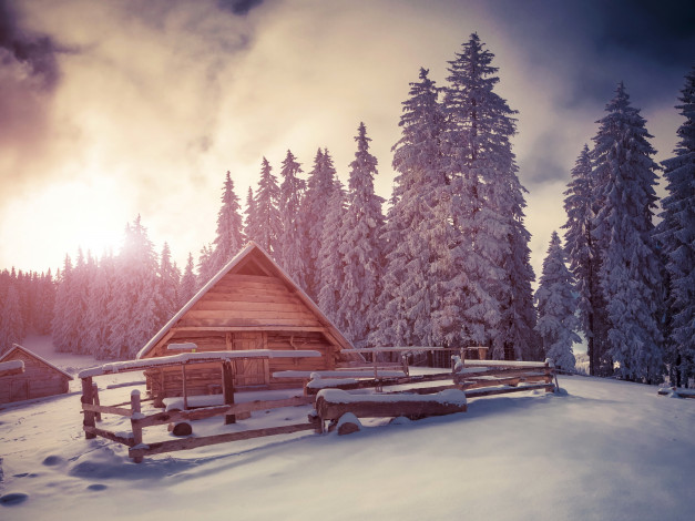 Обои картинки фото природа, зима, ели, домик, снег
