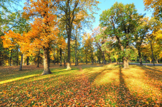Обои картинки фото природа, парк, осень, деревья