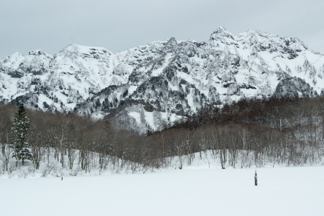 Обои картинки фото природа, зима, небо, деревья, снег