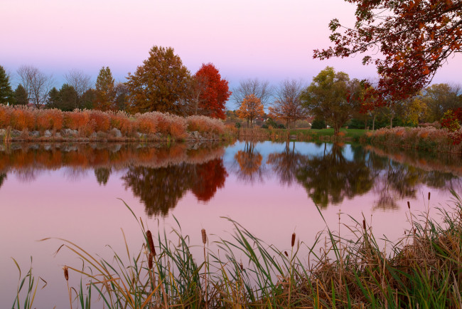 Обои картинки фото природа, реки, озера, трава, деревья, небо, осень, пруд