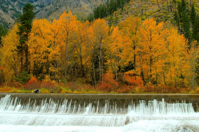 Обои картинки фото природа, водопады, река, лес, осень, водопад, пороги, деревья, поток