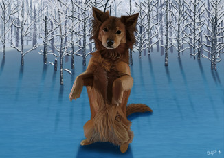 Картинка рисованное животные +собаки собака взгляд лес
