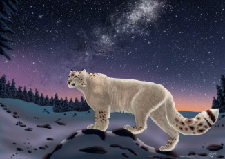 Картинка рисованное животные ночь звезды зима