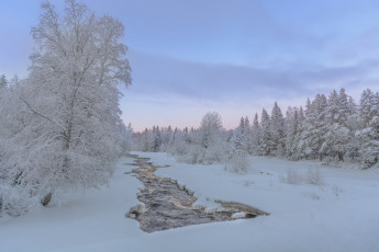 Картинка природа зима река лес финляндия деревья снег