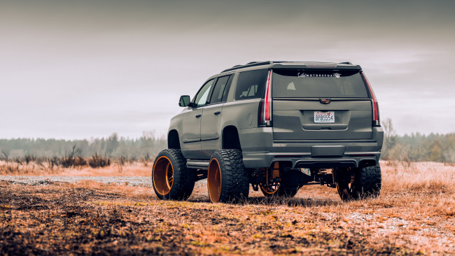 Обои картинки фото автомобили, cadillac, escalade