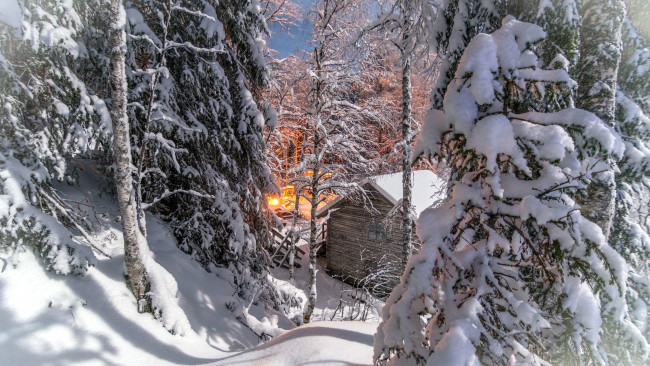 Обои картинки фото природа, зима, снег, деревья, сугробы, избушка